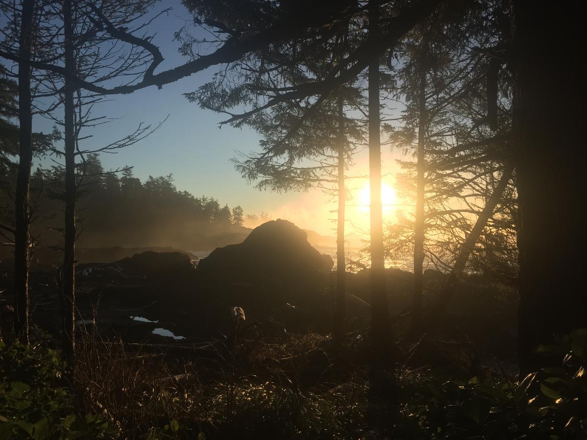 The Francis Boutique Inn Ucluelet Buitenkant foto